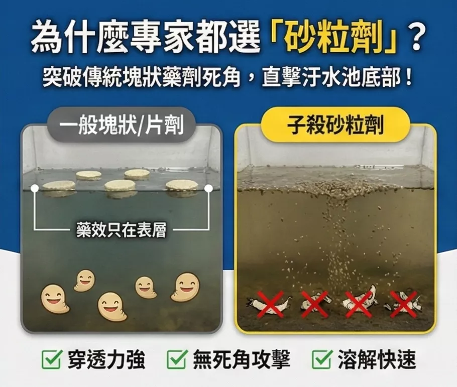 孓殺粒劑沉入水中擊殺孑孓