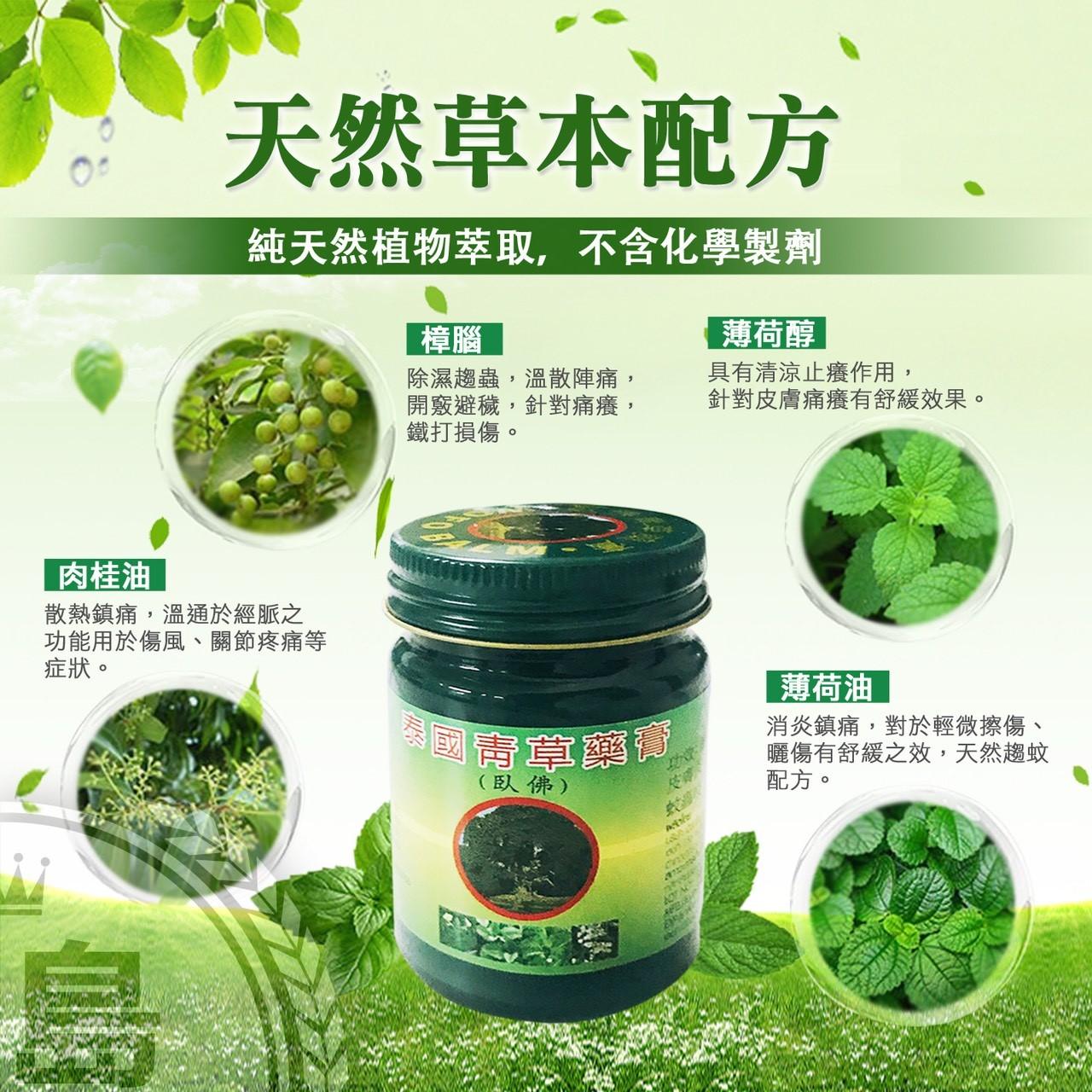 泰國臥佛牌青草膏 50g.