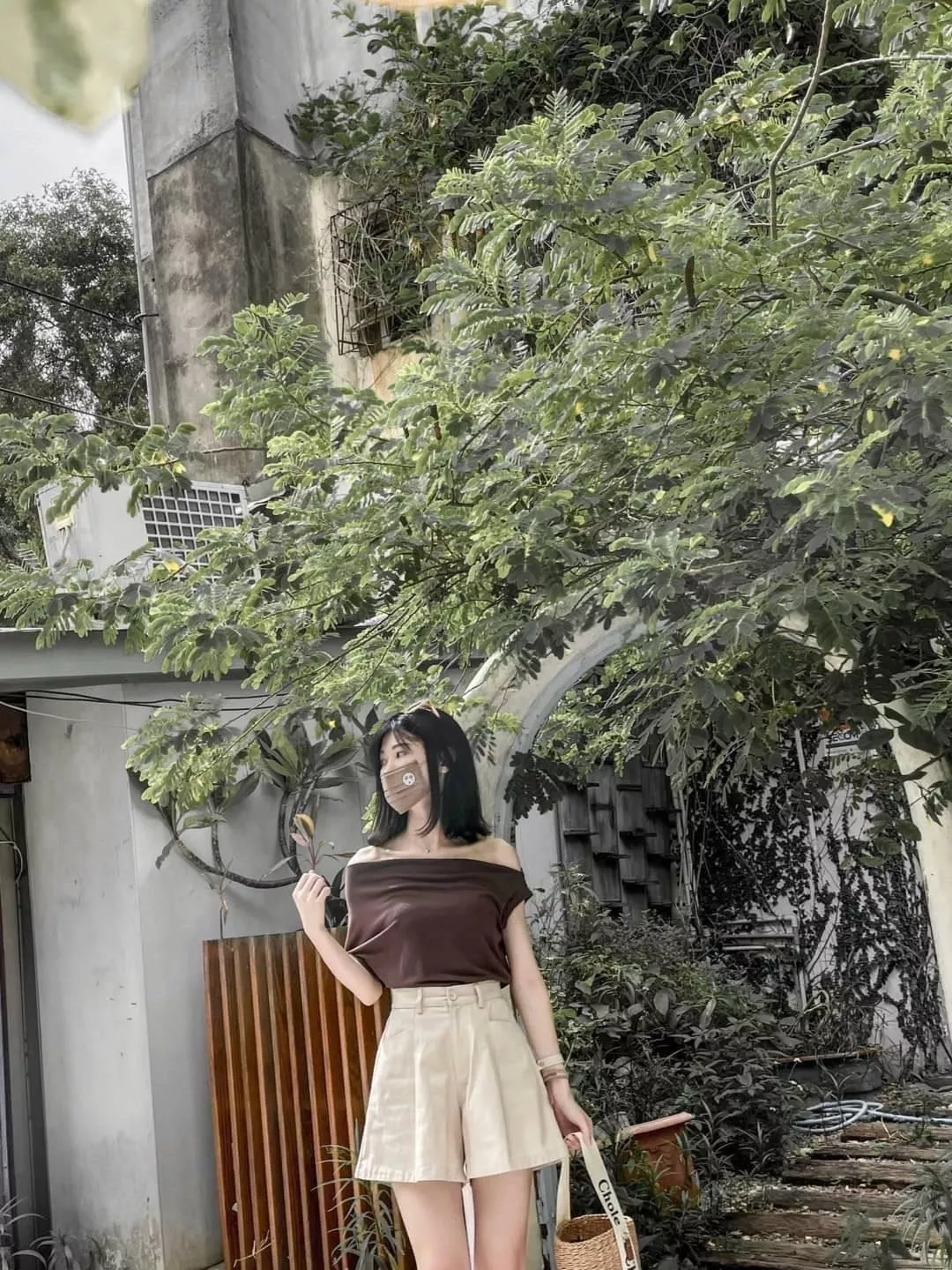 25538  打折休閒短褲