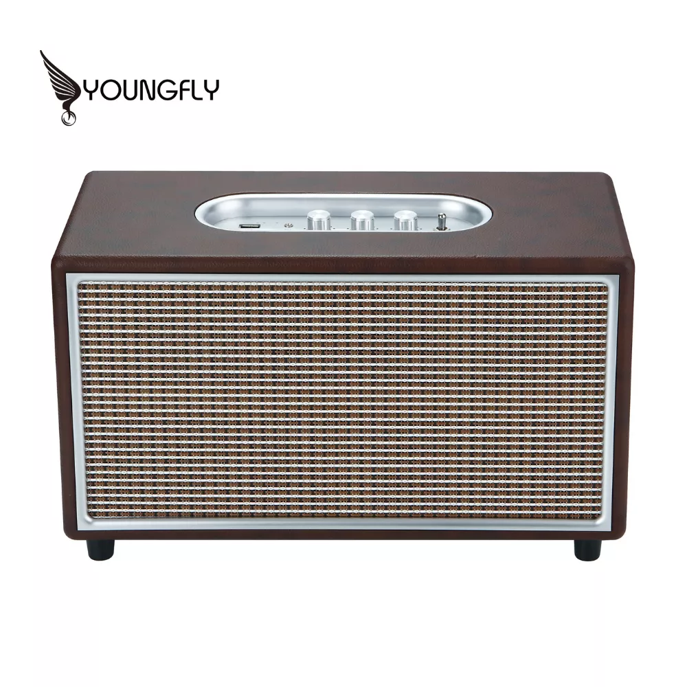 耀飛頂規60W藍芽音箱