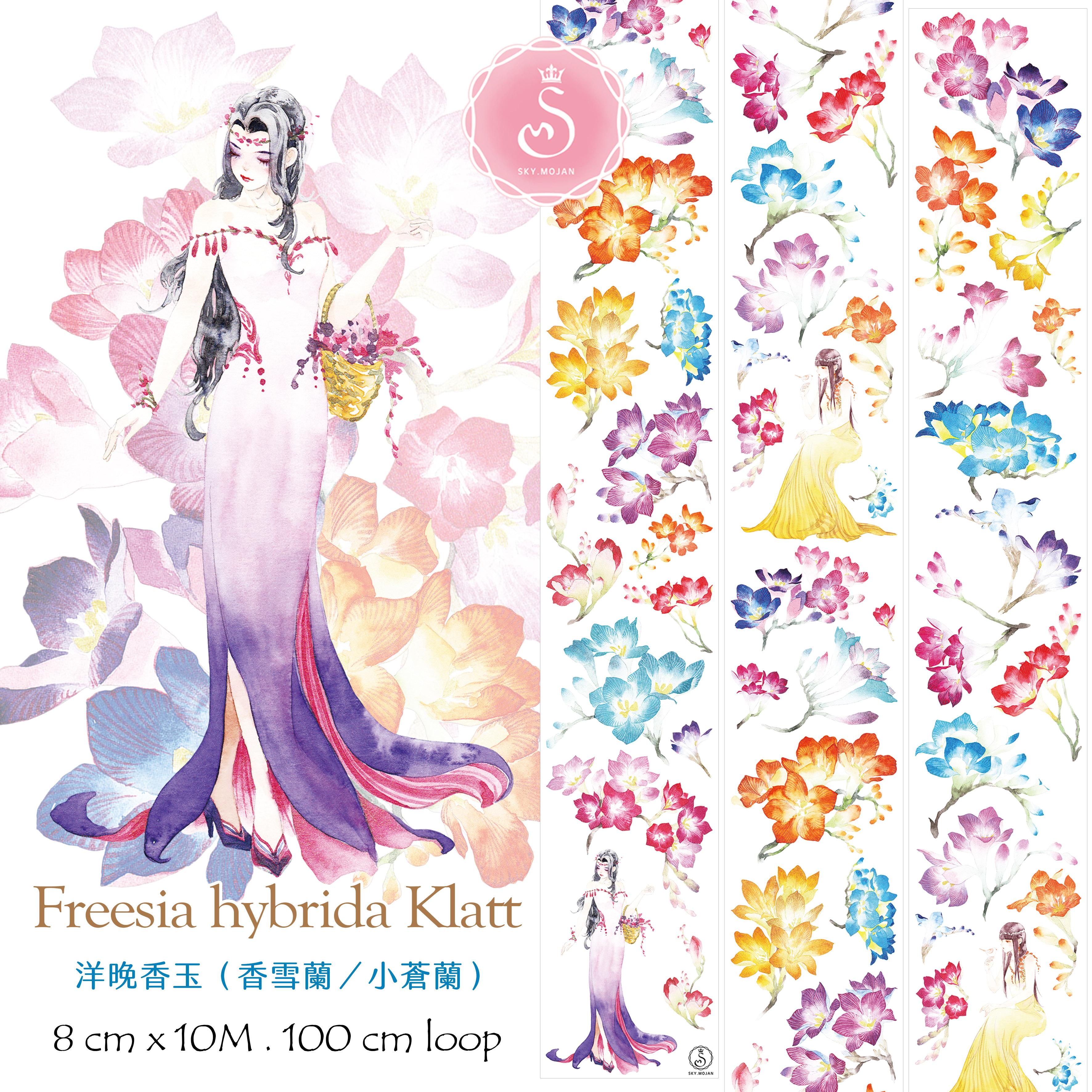 洋晚香玉／香雪蘭／小蒼蘭／Freesia hybrida Klatt