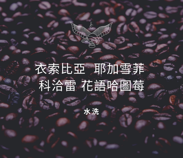 衣索比亞 耶加雪菲 科洽雷 花語哈圖莓 水洗 /莊園級精品咖啡