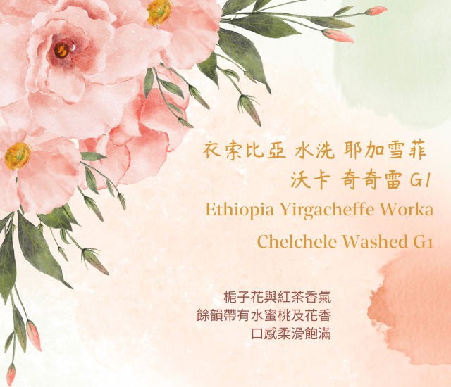 衣索比亞 水洗 耶加雪菲 歌迪貝 沃卡 奇奇雷 G1 Ethiopia Yirgacheffe Gedeb Worka Chelchele Washed G1