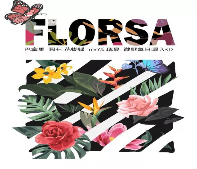 巴拿馬 花蝴蝶 100% 瑰夏 厭氧日曬ASD Panama Florsa 100% Geisha Coffee Review 96分