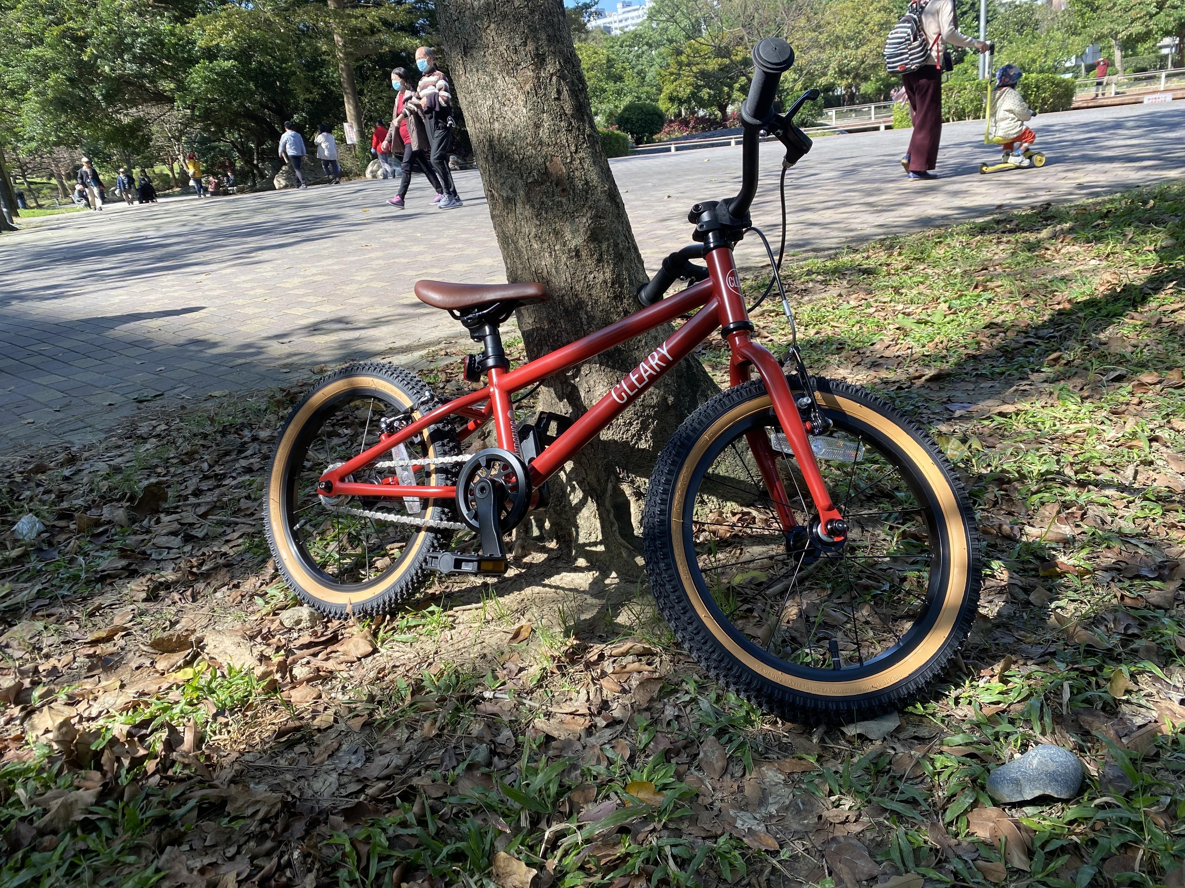學腳踏車有這麼難嗎？