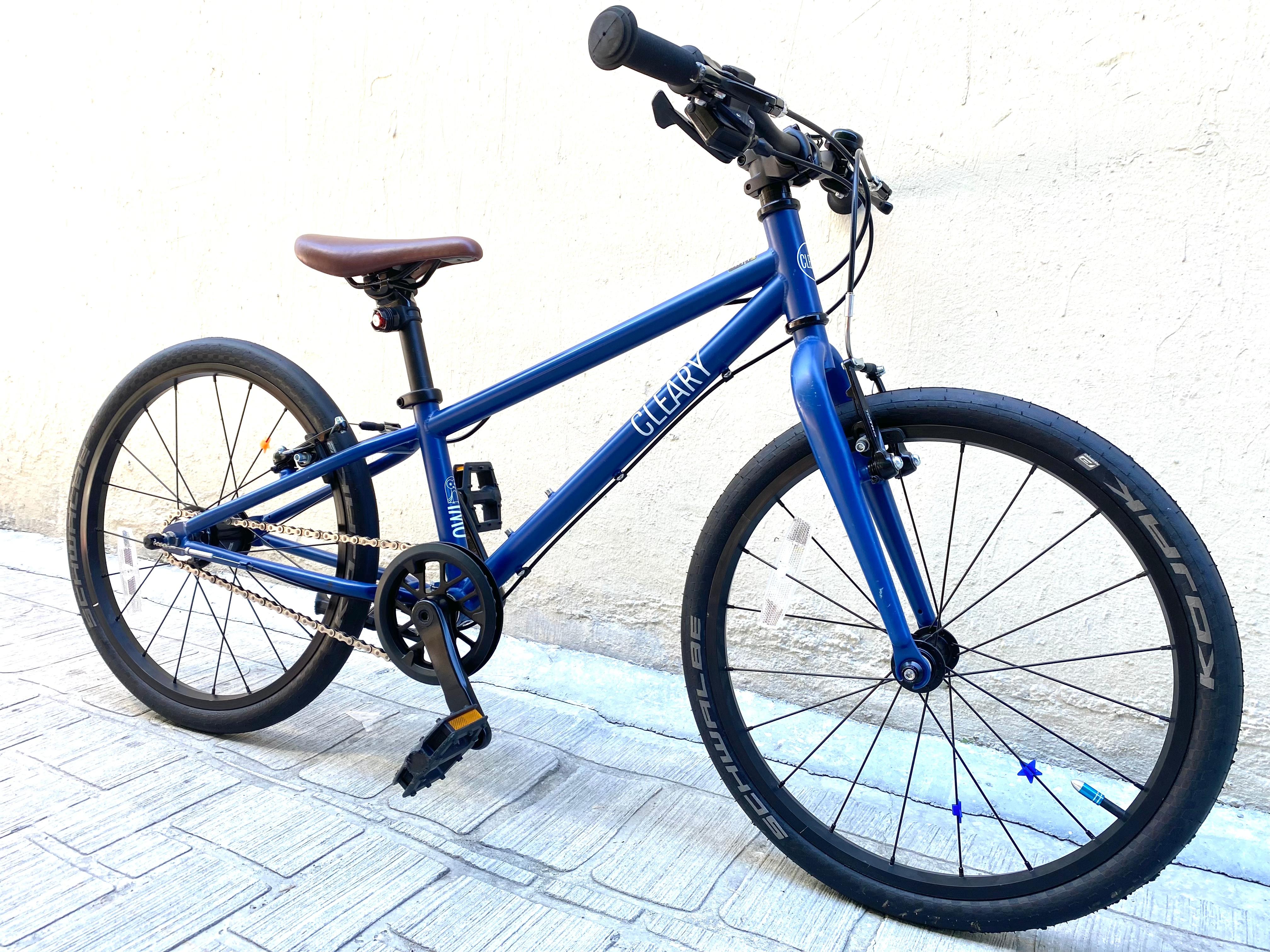 schwalbe KOJAK 外胎 輕量防刺胎 20*1.35 光頭胎35-406