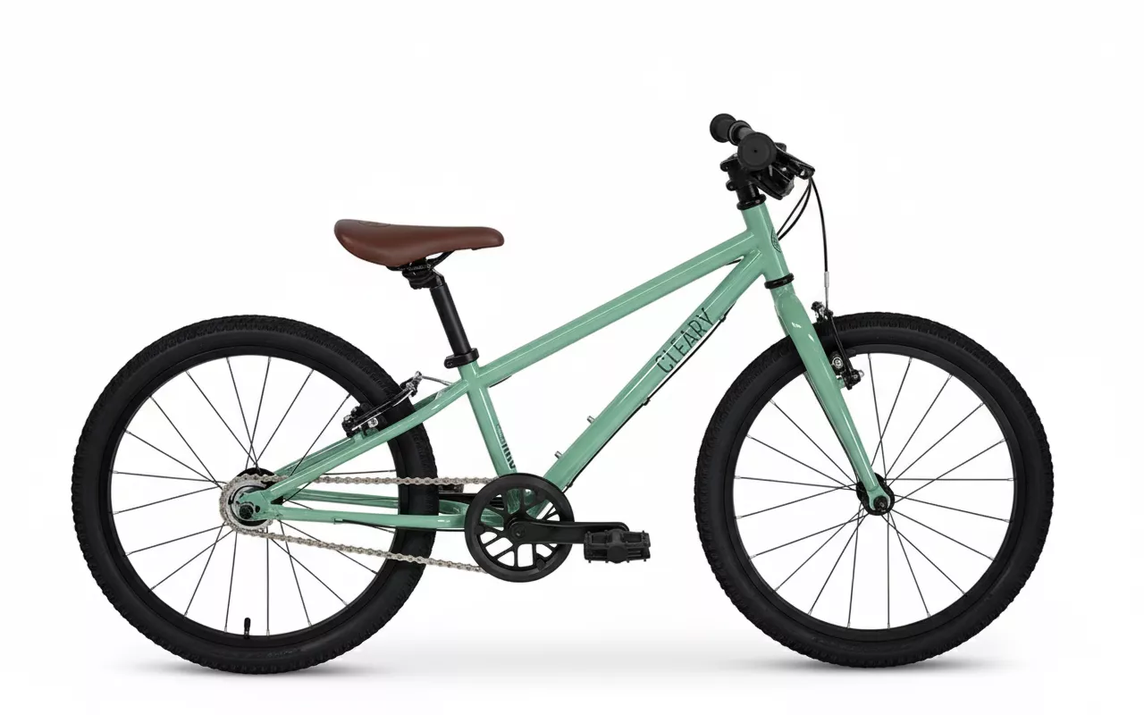 Cleary 20吋內變三速兒童腳踏車 Cool moss