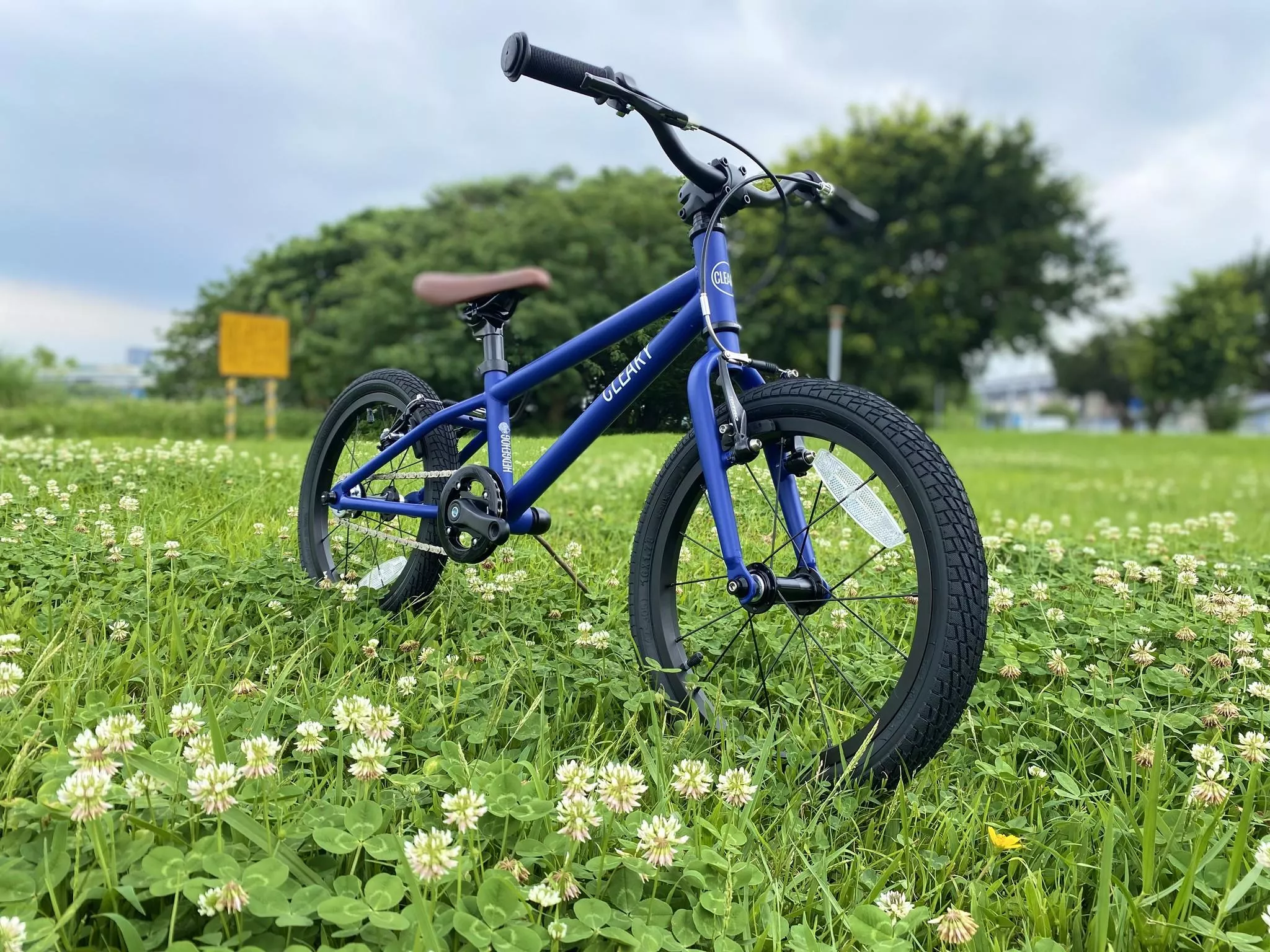 Cleary 16吋單車夏威夷藍色 城市車 登山車 越野車 腳踏車
