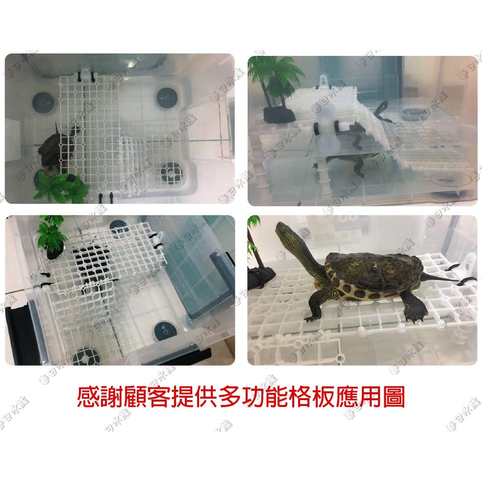多功能格板 蛋白機墊高 底濾板 魚缸隔離板 網板 珊瑚基座 DIY烏龜曬台 乾濕分離 底濾版 底濾缸