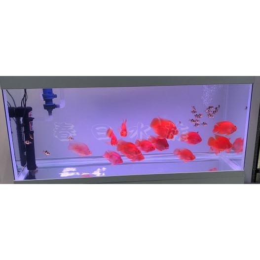 18W  水族先生 UV 殺菌淨水器 殺菌燈 優養化 除綠水 Mr.Aqua(UV殺菌燈) 紫外燈