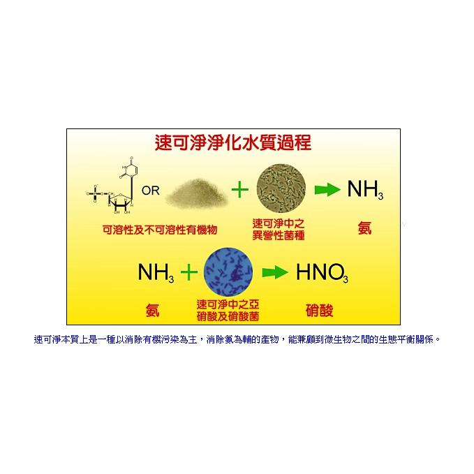 臺灣翠湖TBS 速可淨 粉狀 硝化菌 25g 硝化系統 淡水 海水 水質 淨水