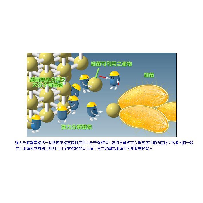 臺灣翠湖 TBS 強力分解酵素 除油膜劑 油膜處理 水草缸 去除水面油膜 油膜生力軍