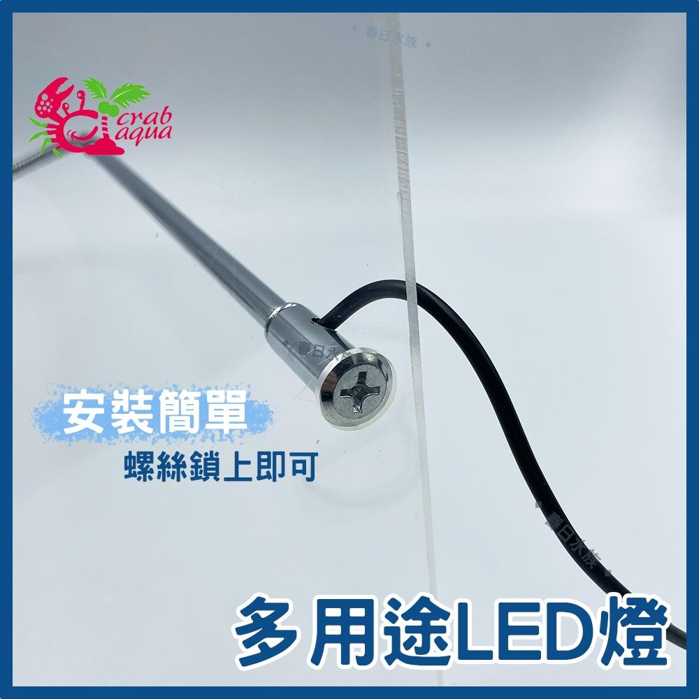 小螃蟹 多用途LED檯燈 5W / 7W USB 魚缸燈 多肉盆栽 魚缸 寵物箱 植物燈 盆景