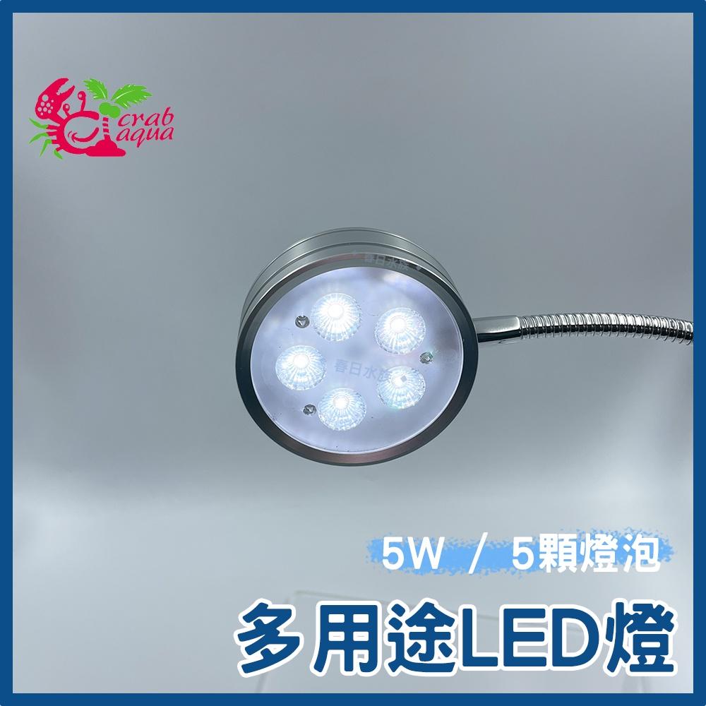 小螃蟹 多用途LED檯燈 5W / 7W USB 魚缸燈 多肉盆栽 魚缸 寵物箱 植物燈 盆景