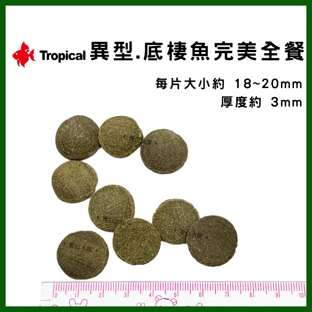 Tropical 異型.底棲魚完美全餐 罐裝1kg 鼠魚 螺旋藻 藻類飼料 沉水 沉底飼料