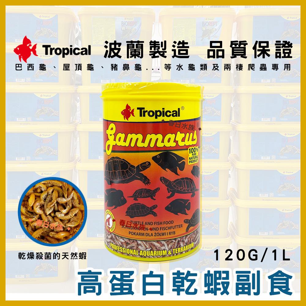 Tropical 烏龜成長飼料 高蛋白乾蝦 1L／5L 澤龜烏龜飼料 鈣質 浮水 主食副食 德比克