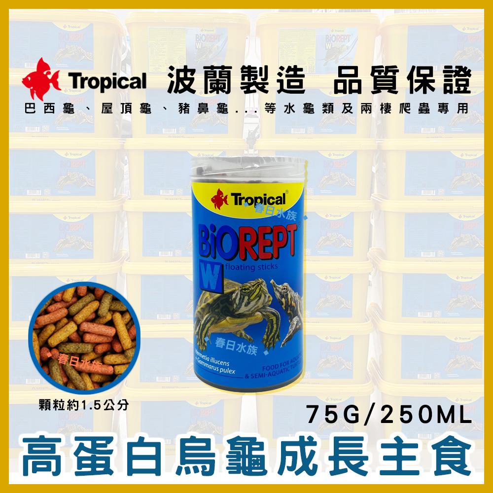 Tropical 高蛋白乾蝦／烏龜成長飼料 烏龜乾蝦 烏龜飼料 乾燥蝦 鈣質 蝦乾 斑龜飼料 德比克