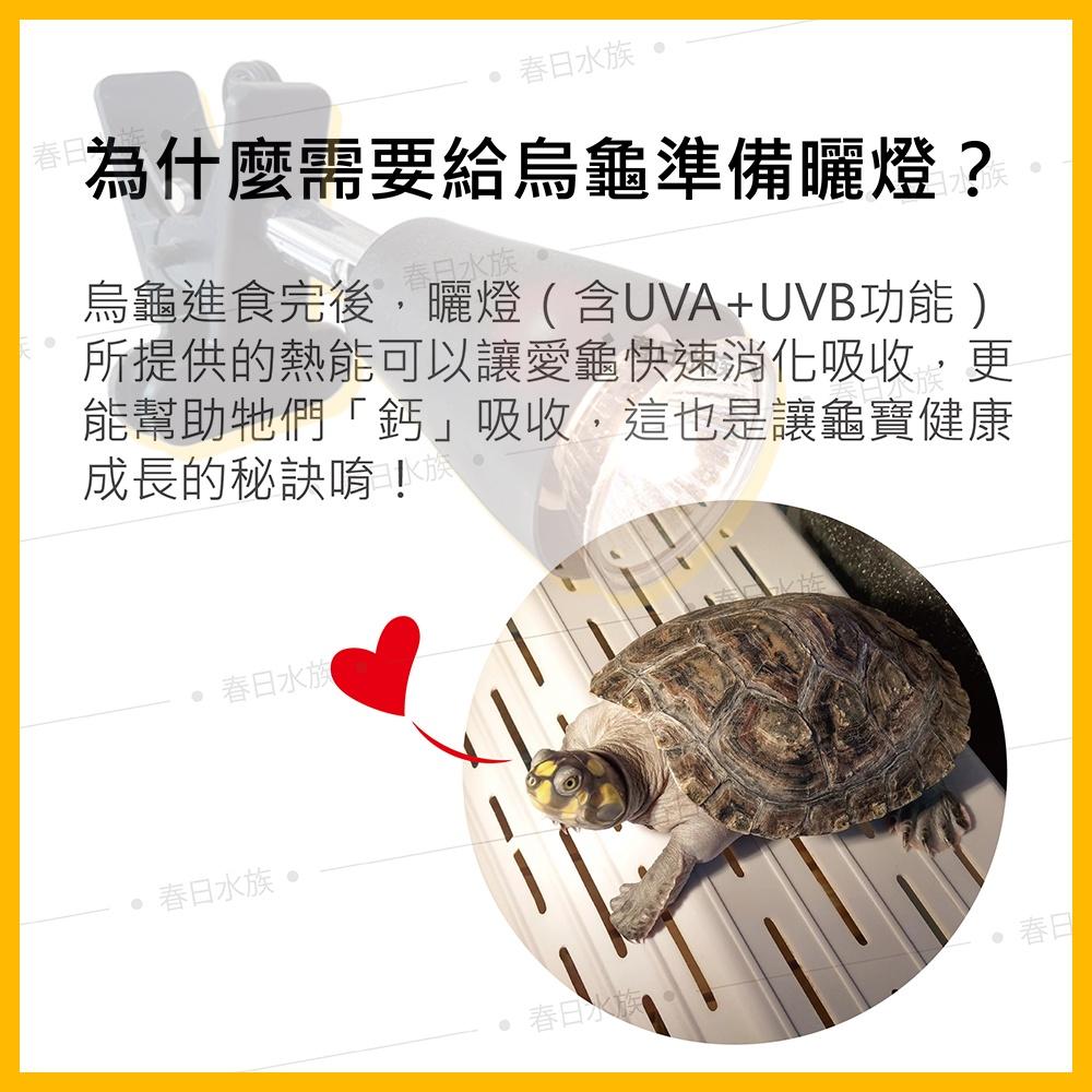 3.0迷你小夾燈 附53W兩棲燈泡 聚熱燈 UVA UVB 烏龜曬燈 曬燈 夾燈 E27 澤龜燈 水龜燈
