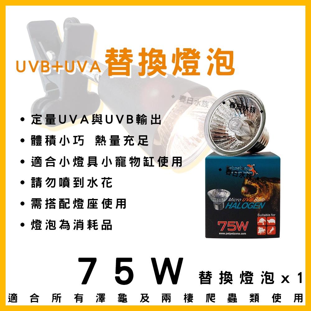 E27兩棲燈泡 53W 75W 3.0迷你小夾燈 聚熱燈 UVA UVB 烏龜曬燈 曬燈 夾燈 澤龜燈