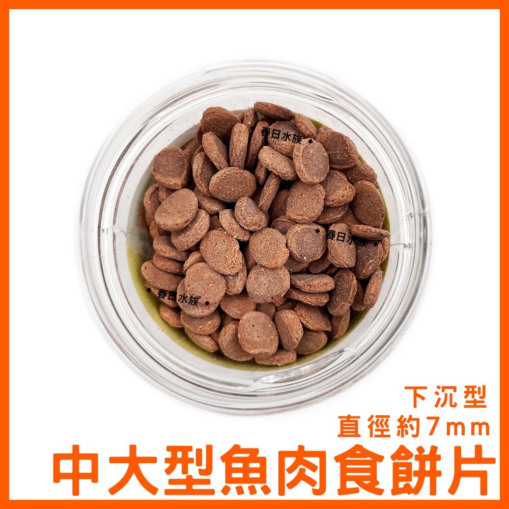 仟虹 中大型肉食沉底飼料 肉食性 增豔飼料 異型 異形 鼠魚 蝦飼料 恐龍 大型魚底棲 慈鯛