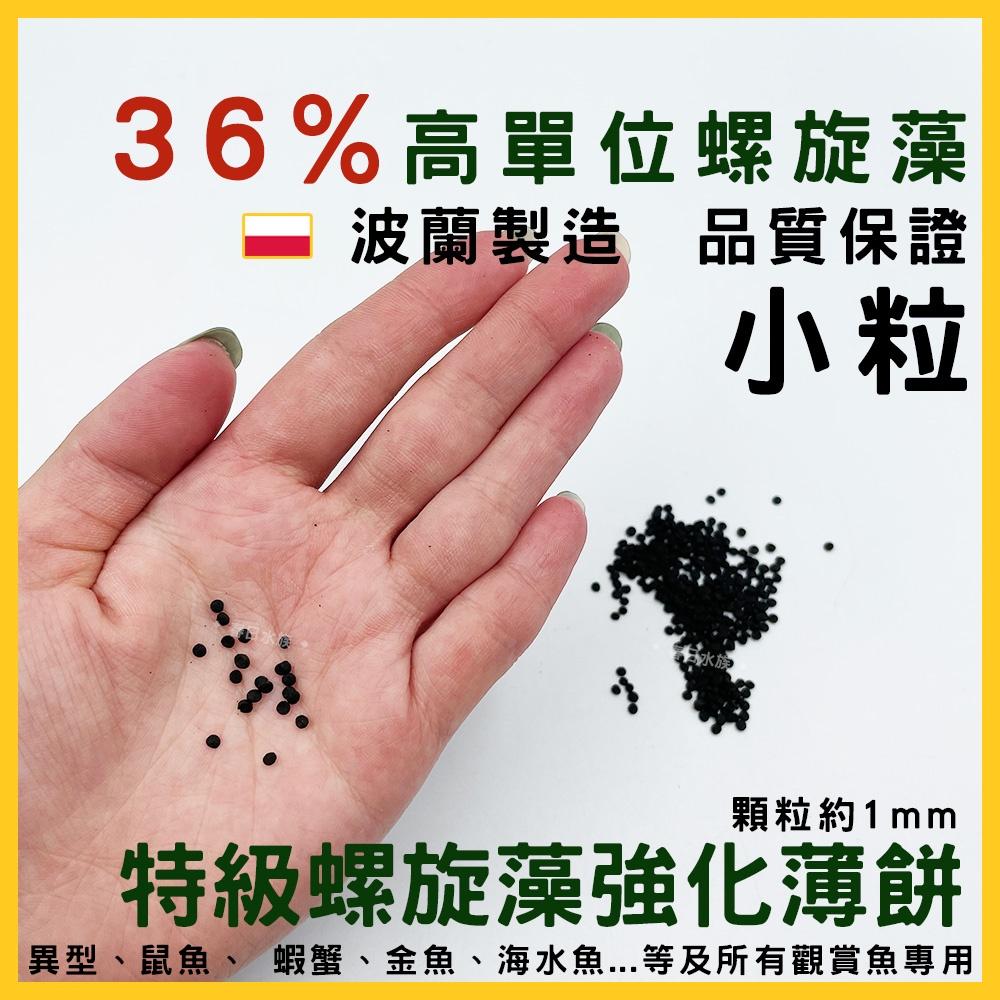 36% 特級螺旋藻強化薄餅 零售 5g 中粒 小粒 波蘭製 螺旋藻 異型飼料 鼠魚飼料 沉底飼料