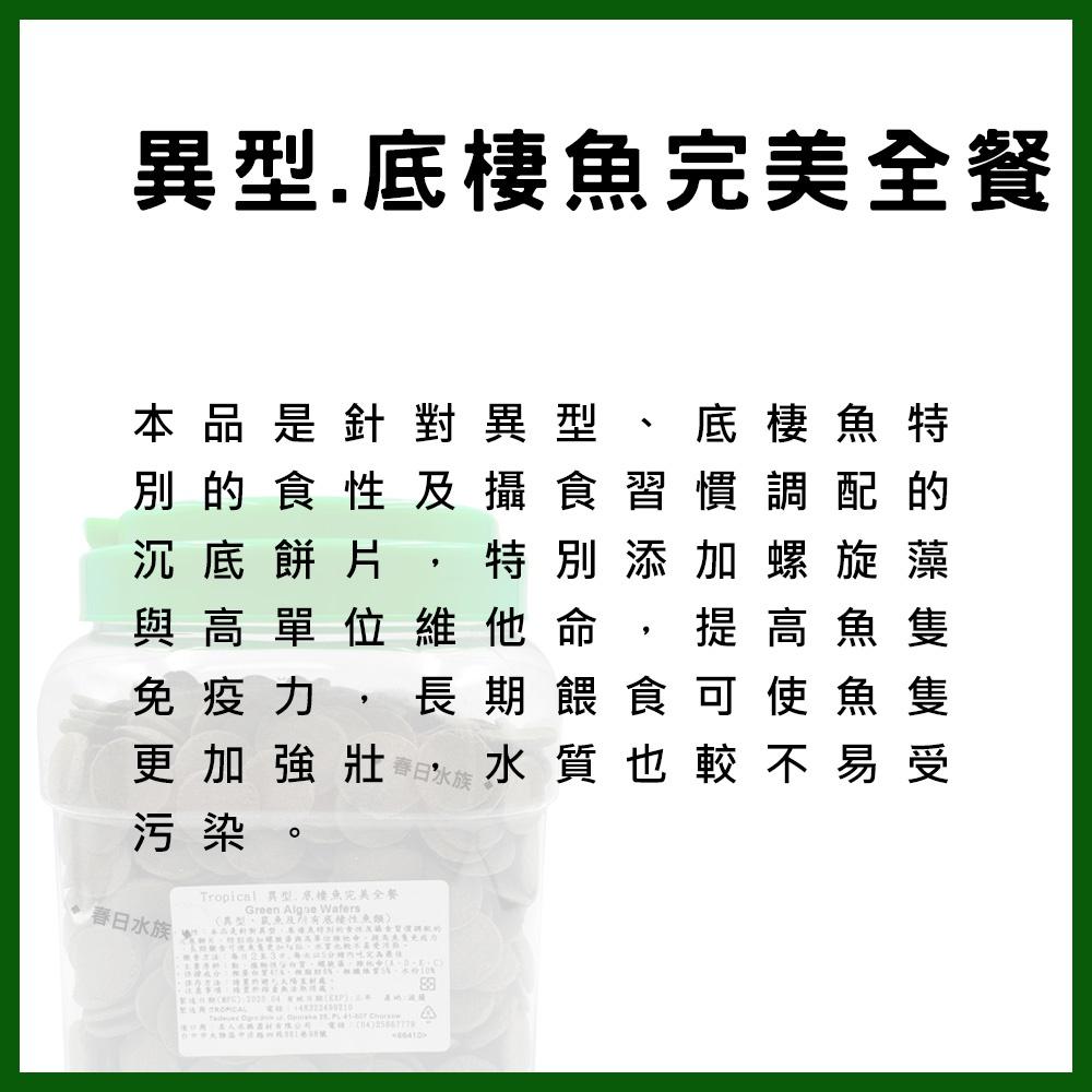 異型.底棲魚完美全餐 1片=2元 波蘭製 鼠魚 異型 飛鳳 螺旋藻 藻類飼料 底棲魚 沉水 沉底飼料