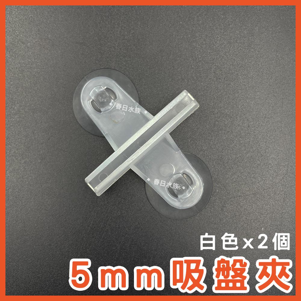 多功能格板 蛋白機墊高 底濾板 魚缸隔離板 網板 珊瑚基座 DIY烏龜曬台 乾濕分離 底濾版 底濾缸