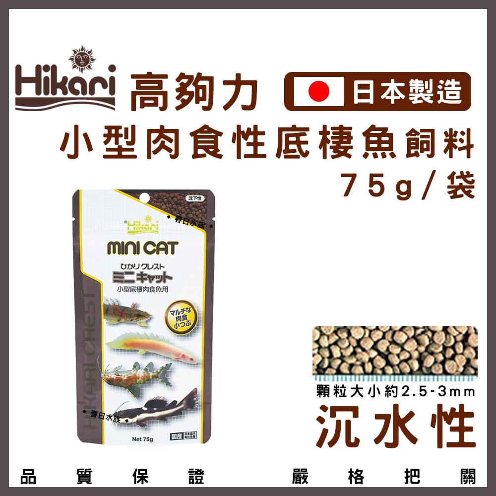 日本 高夠力 小型肉食性底棲魚飼料 75g 沉水性 28504 底棲魚 恐龍魚 紅尾鴨嘴 肉食性 幼魚