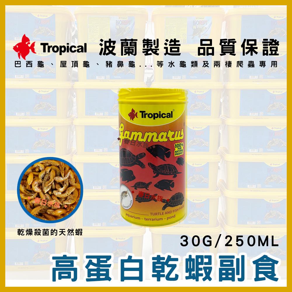 Tropical 高蛋白乾蝦／烏龜成長飼料 烏龜乾蝦 烏龜飼料 乾燥蝦 鈣質 蝦乾 斑龜飼料 德比克