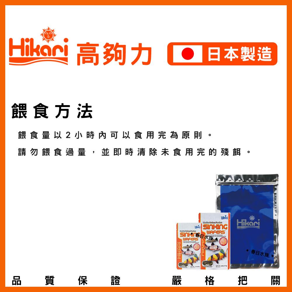 Hikari 高夠力 鼠魚 異型 飼料 沉水性 底棲魚 花鼠 咖啡鼠 三間鼠 下沉飼料 沉底飼料