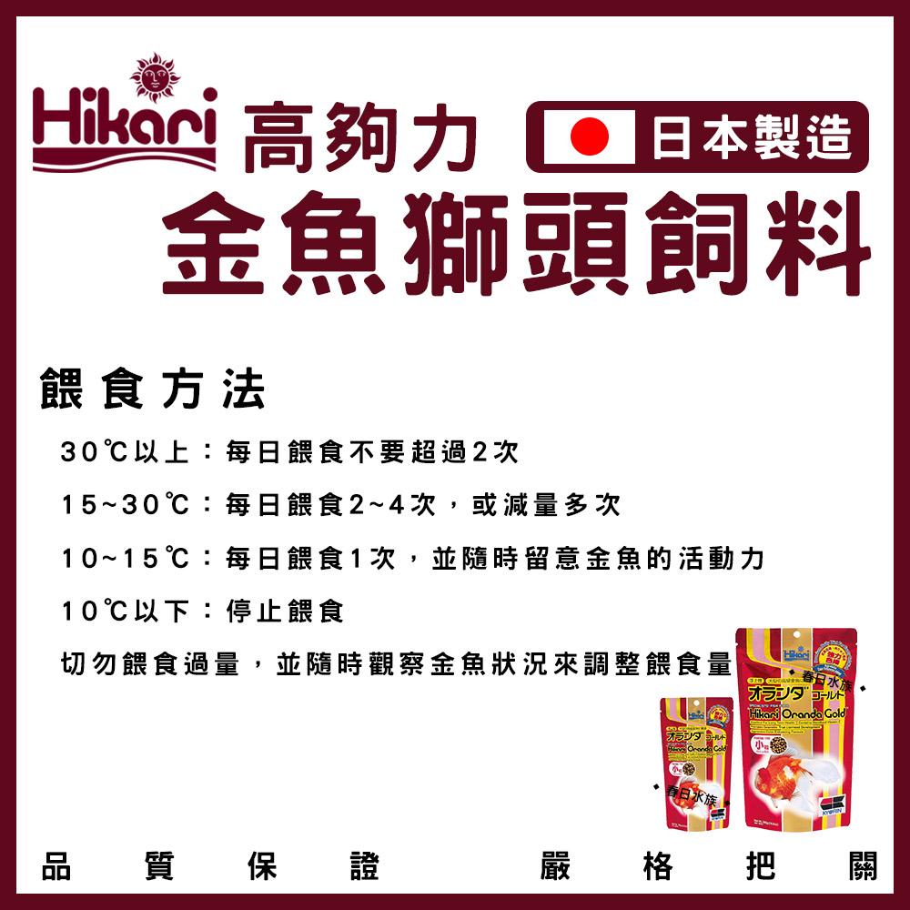 Hikari 高夠力 金魚獅頭飼料 100g 300g 浮水性 獅頭 蘭壽 東錦 壽星 上浮