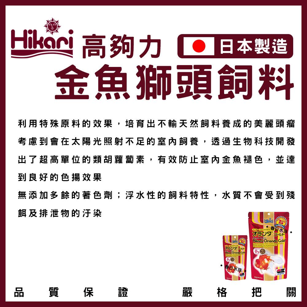 Hikari 高夠力 金魚獅頭飼料 100g 300g 浮水性 獅頭 蘭壽 東錦 壽星 上浮