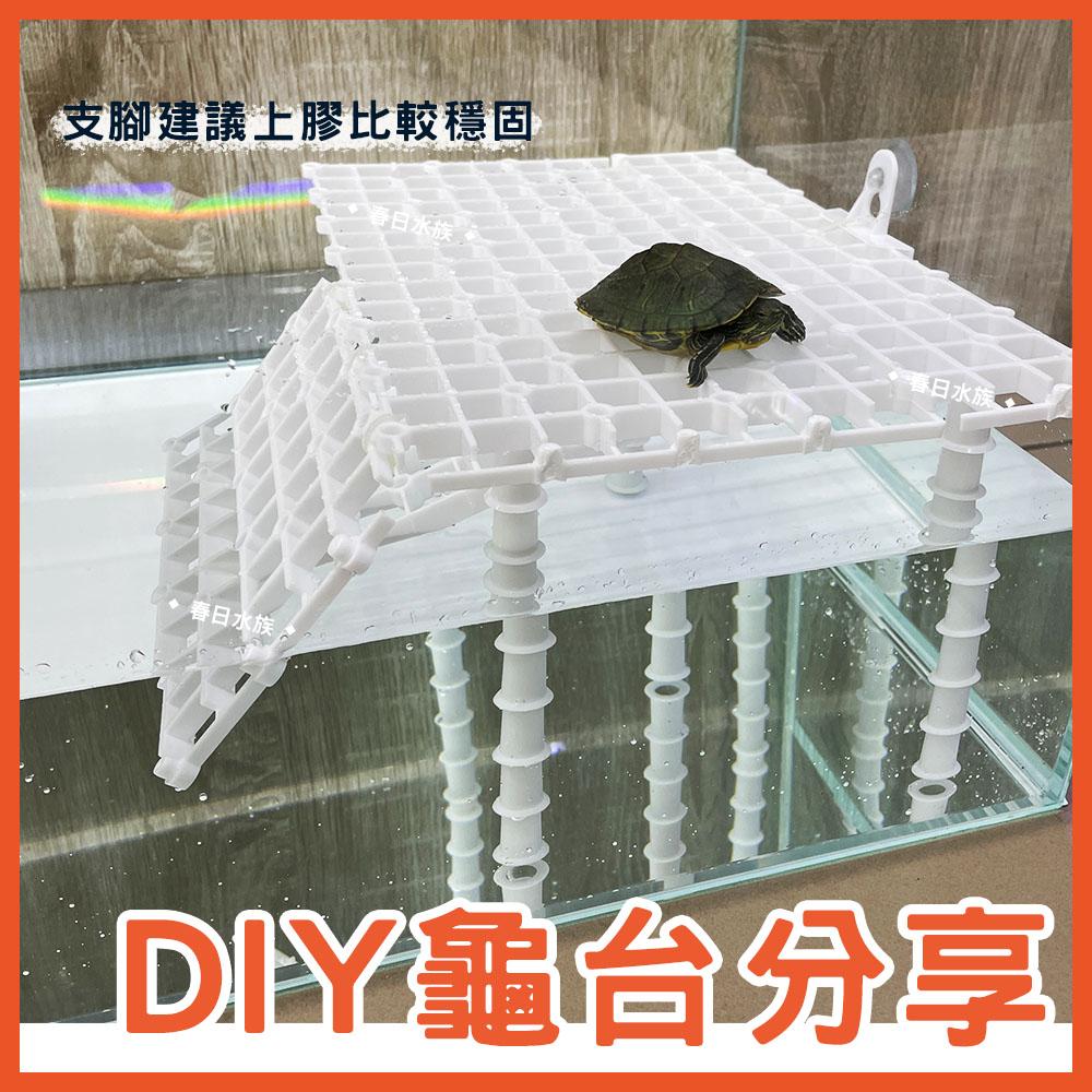 多功能格板 蛋白機墊高 底濾板 魚缸隔離板 網板 珊瑚基座 DIY烏龜曬台 乾濕分離 底濾版 底濾缸