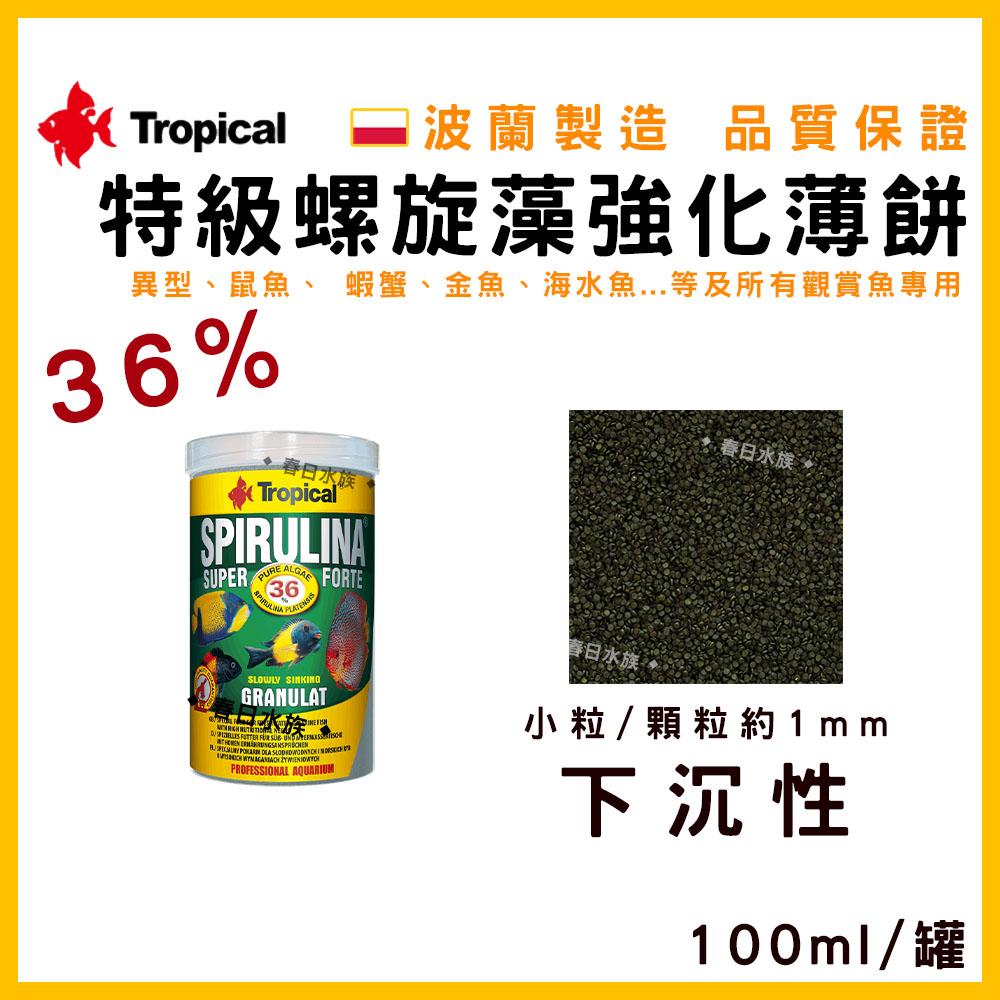 波蘭製造 Tropical 36% 特級螺旋藻強化薄餅 異型飼料 鼠魚飼料 金魚 沉底飼料