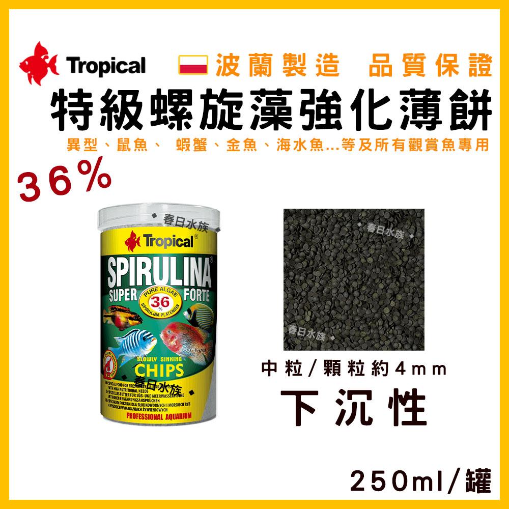 波蘭製造 Tropical 36% 特級螺旋藻強化薄餅 異型飼料 鼠魚飼料 金魚 沉底飼料