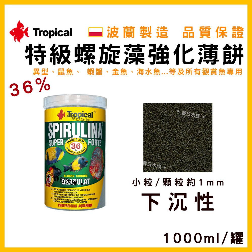 波蘭製造 Tropical 36% 特級螺旋藻強化薄餅 異型飼料 鼠魚飼料 金魚 沉底飼料