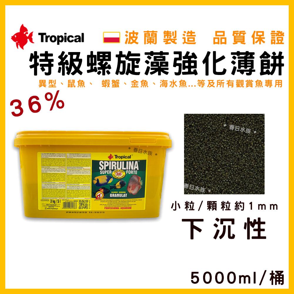 波蘭製造 Tropical 36% 特級螺旋藻強化薄餅 異型飼料 鼠魚飼料 金魚 沉底飼料