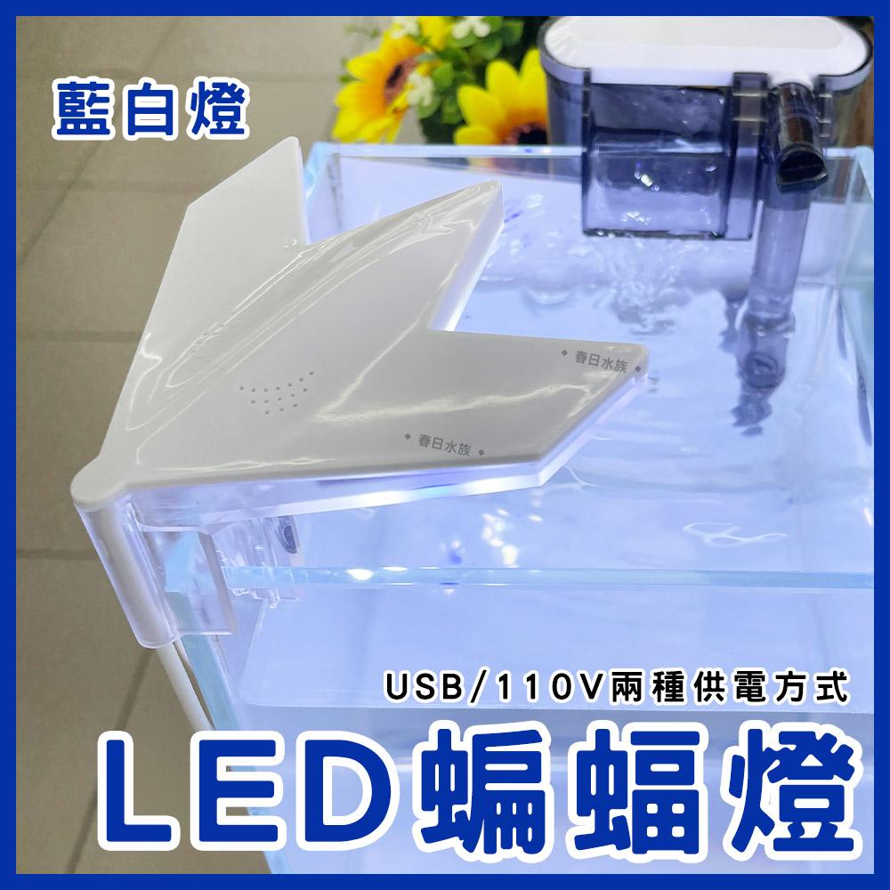 蝙蝠夾燈 藍白燈 LED 迷你夾燈 USB 小魚缸 小缸夾燈 角落夾燈 小夾燈 水族燈具 LED夾燈