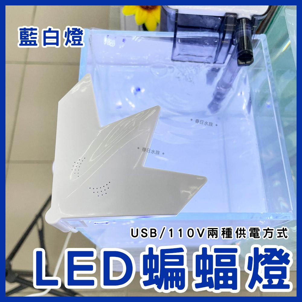 蝙蝠夾燈 藍白燈 LED 迷你夾燈 USB 小魚缸 小缸夾燈 角落夾燈 小夾燈 水族燈具 LED夾燈