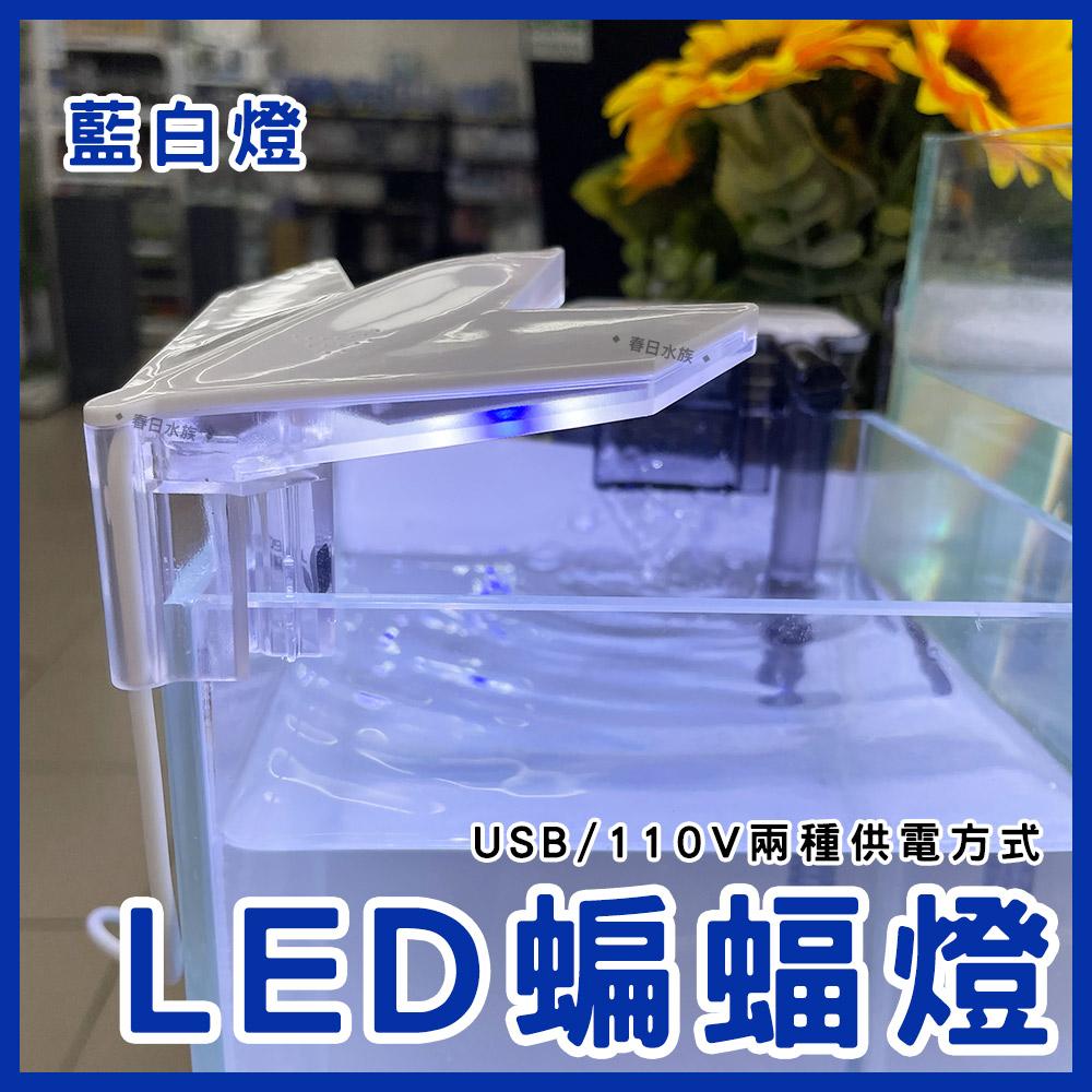 蝙蝠夾燈 藍白燈 LED 迷你夾燈 USB 小魚缸 小缸夾燈 角落夾燈 小夾燈 水族燈具 LED夾燈