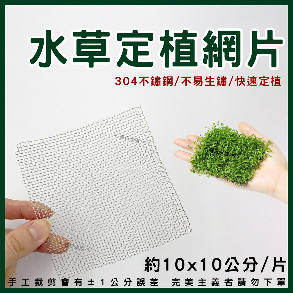 水草定植網片 10x10cm 莫斯水草 水草鐵網 固定水草 迷你矮珍珠 不鏽鋼網片 定植繁殖網片 水草網片