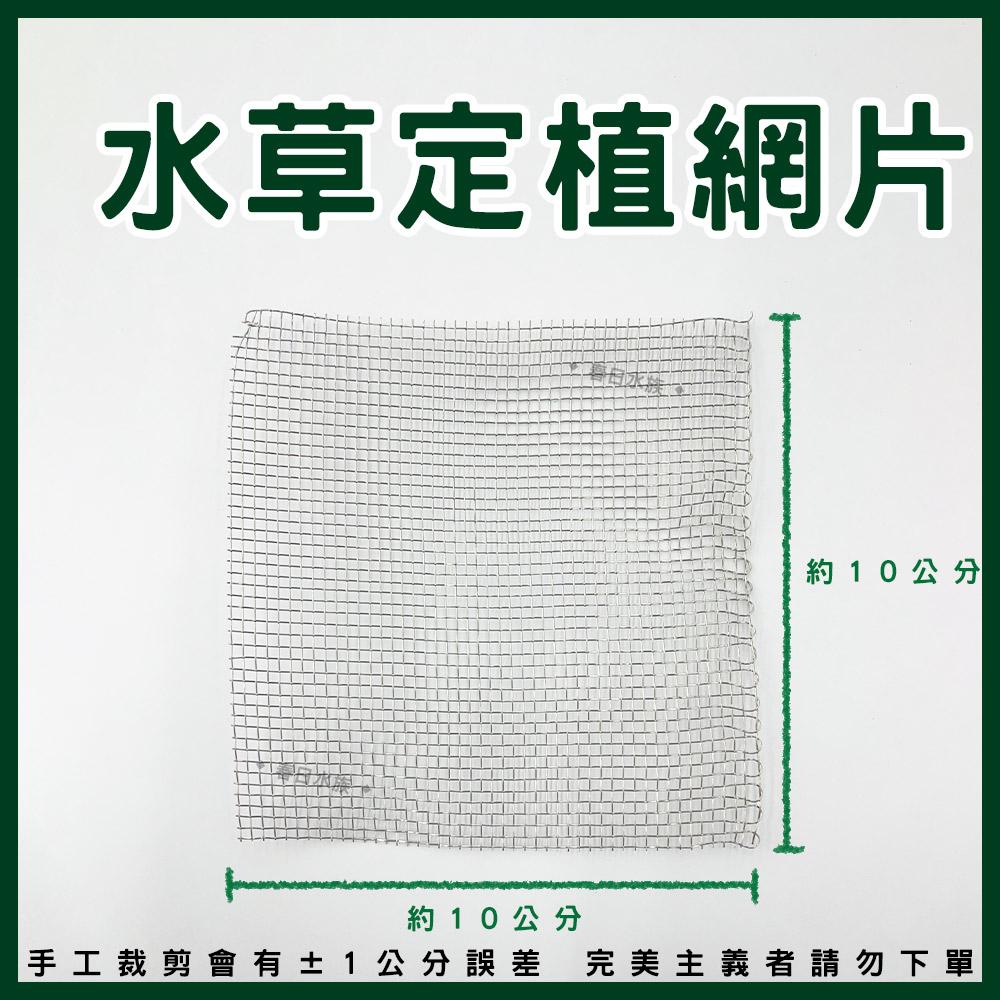 水草定植網片 10x10cm 莫斯水草 水草鐵網 固定水草 迷你矮珍珠 不鏽鋼網片 定植繁殖網片 水草網片