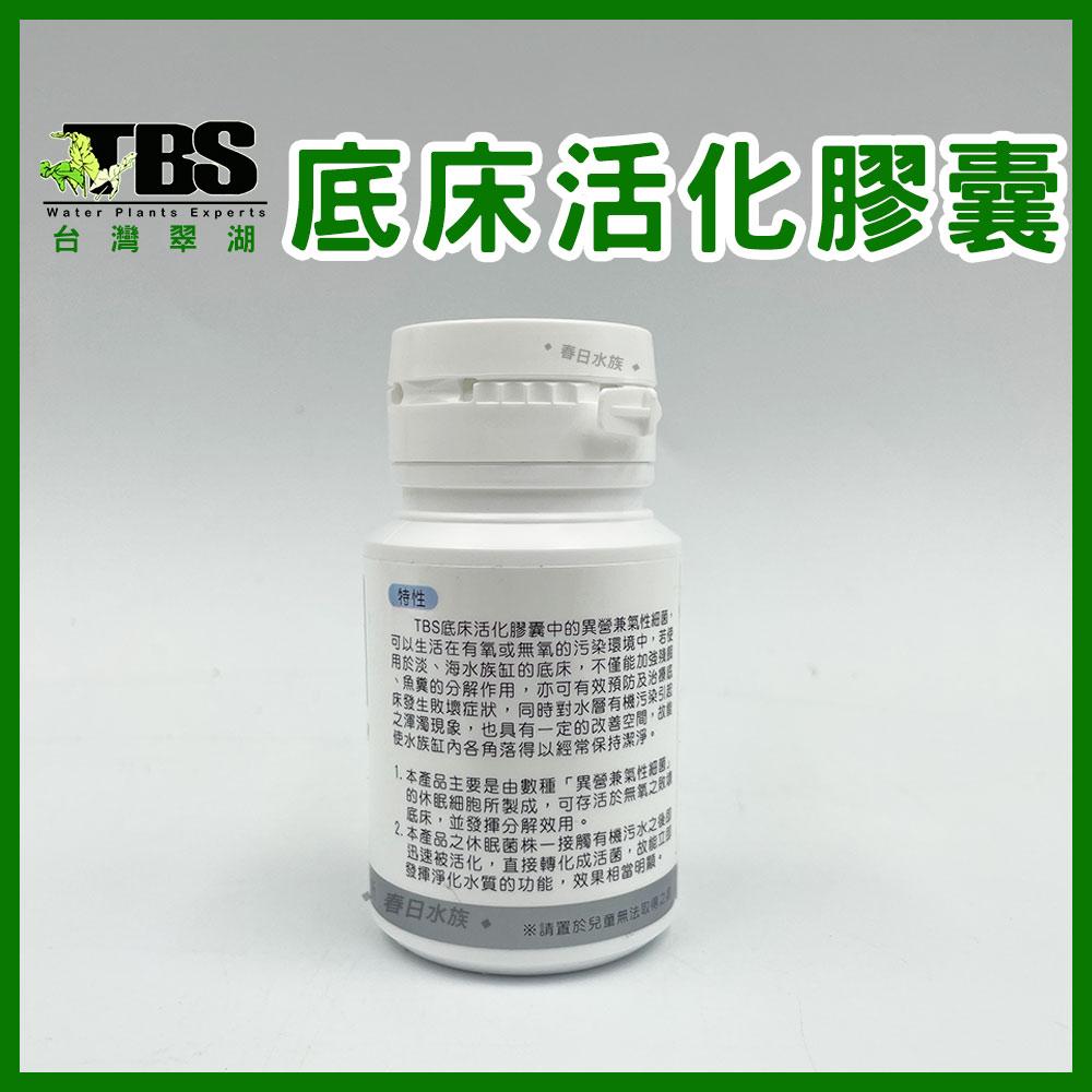 臺灣翠湖 TBS 底床活化菌 膠囊(30粒入) 底床活化菌 液肥 基肥 黑土 水草 肥料 水草硝化菌