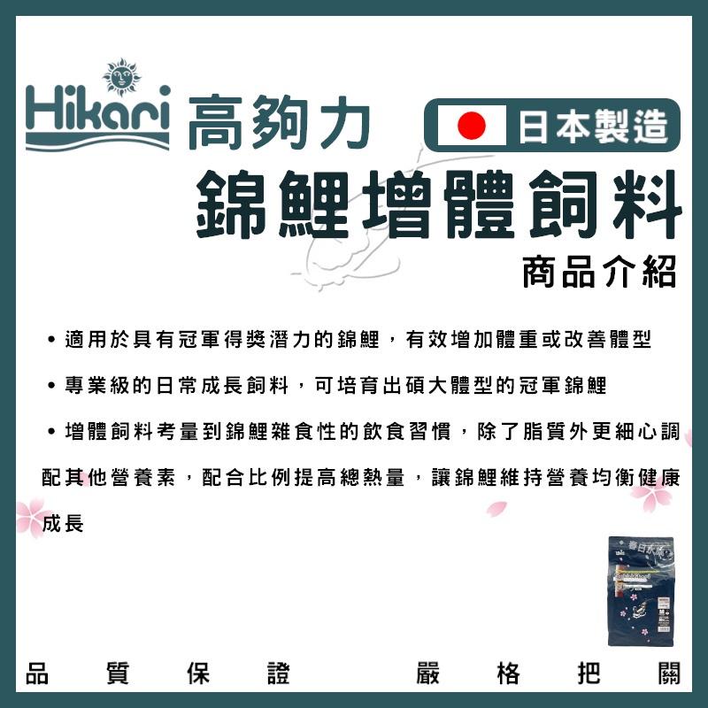 高夠力 Saki-Hikari 錦鯉增體飼料 2公斤 錦鯉飼料 玉如意 錦鯉 高夠力飼料 錦鯉主食