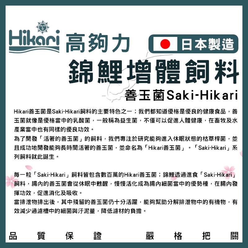 高夠力 Saki-Hikari 錦鯉增體飼料 2公斤 錦鯉飼料 玉如意 錦鯉 高夠力飼料 錦鯉主食