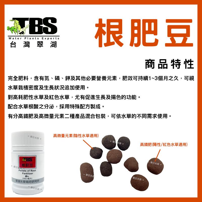 臺灣翠湖TBS 根肥豆40g(50±5粒入) 水草根肥 肥料 養殖水草 施肥 微量元素 水草缸 鐵肥 鐵質