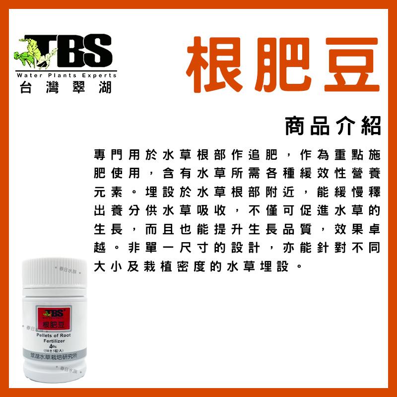 臺灣翠湖TBS 根肥豆40g(50±5粒入) 水草根肥 肥料 養殖水草 施肥 微量元素 水草缸 鐵肥 鐵質