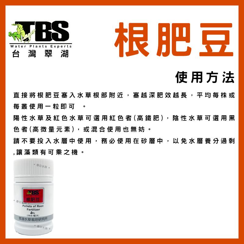 臺灣翠湖TBS 根肥豆40g(50±5粒入) 水草根肥 肥料 養殖水草 施肥 微量元素 水草缸 鐵肥 鐵質