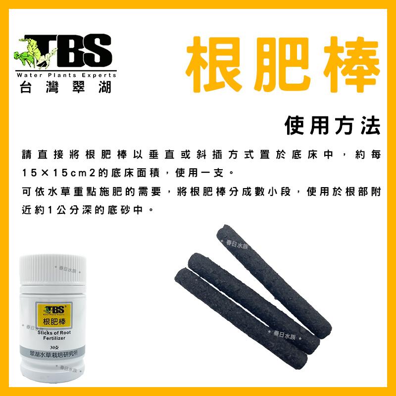 臺灣翠湖 TBS 根肥豆40g(50±5粒入) 水草根肥 肥料 養殖水草 施肥 微量元素 水草缸 鐵肥 鐵質