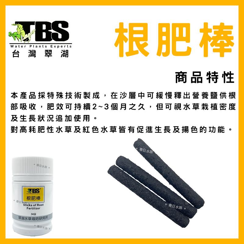 臺灣翠湖 TBS 根肥豆40g(50±5粒入) 水草根肥 肥料 養殖水草 施肥 微量元素 水草缸 鐵肥 鐵質